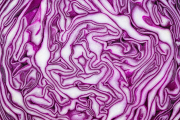 Obraz premium Food Concepts. Extreme Closeup of Purple Cabbage Texture