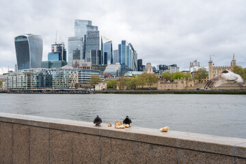 His Majesty's Royal Palace and Fortress of the Tower of London, or The Tower of London, historic castle on the north bank of the River Thames in central London, England