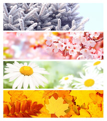 Four seasons of year. Set of horizontal nature banners with winter, spring, summer and autumn scenes. Nature collage with seasonal scenics. Copy space for text