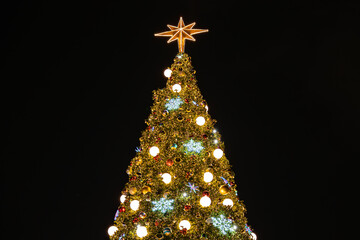A fully decorated Christmas tree with a warm glow of the lights illuminates the scene, creating a festive atmosphere. Black Background