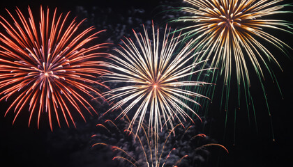 Fototapeta premium Fireworks exploding in the night sky.