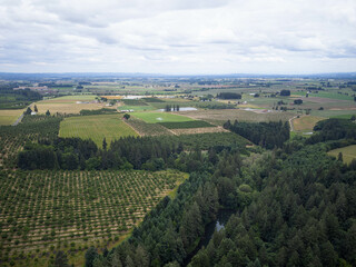 Fototapeta premium A large field of trees and green plants with a river running through it