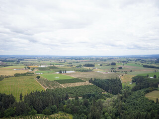 Obraz premium A large, open field with a few trees scattered throughout