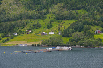 Lachszucht, Norwegen