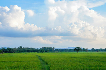 serene countryside view with cloudy sky, lush green fields, trees and majestic mountains blending harmoniously with nature tranquility.