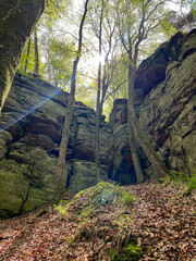 Huge rocks with moss and trees in the forest. Mullerthal region in Luxembourg