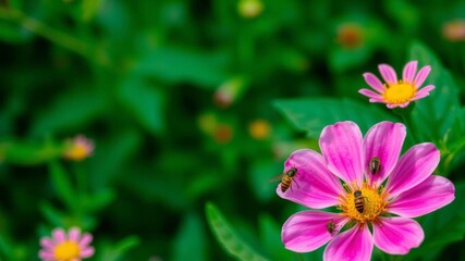 Obraz premium Two green bugs on a pink flower with a lush green background, garden, pink