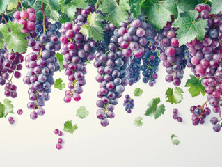 Various falling fresh ripe grape on light white background, horizontal composition