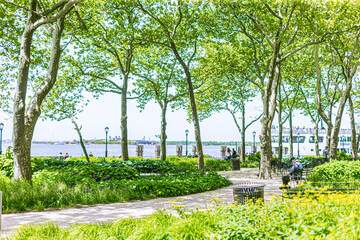 Obraz premium park near the sea on a clear sunny day