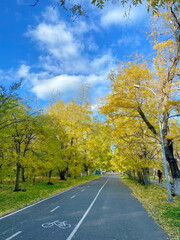 Obraz premium It is pleasant to breathe fresh sea air while riding a bicycle on the Odessa health trail, enjoying the views of nature festively dressed in rainbow autumn colors.