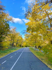 Obraz premium It is pleasant to breathe fresh sea air while riding a bicycle on the Odessa health trail, enjoying the views of nature festively dressed in rainbow autumn colors.