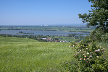 Green meadow with blooming wildflowers, overlooking a lake and nuclear power plant cooling towers...
