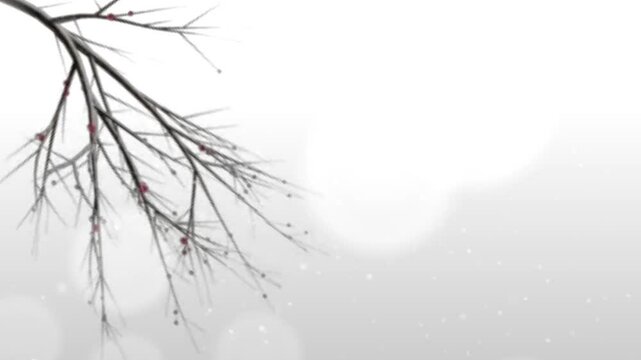 shadow of wooden branches on gray background
