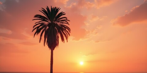 Obraz premium A palm tree silhouetted against an orange and pink sunset sky