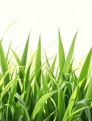 Lush green grass with a few blades swaying gently in the breeze, , fresh cut grass