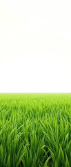 Fototapeta premium Lush green background with tall grass swaying in the wind, verdant fields, lush grass, foliage