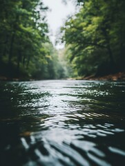 Fototapeta premium Serene Green Forest River Close-Up View of Tranquil Water Surface.