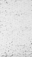 Obraz premium Panoramic shot of a white painted old brick wall, outdoor landscapes, stone walls, architectural details