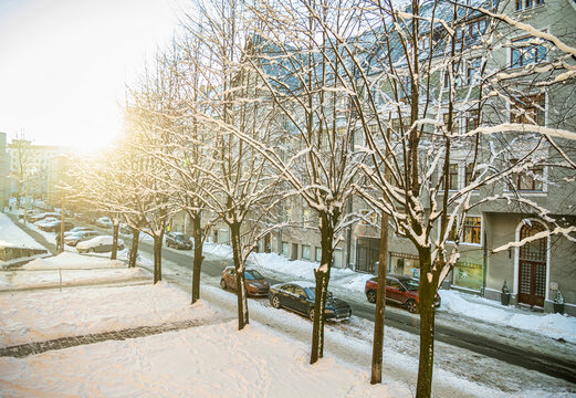 Winter Street Scene with Snow Covered Trees and European Architecture