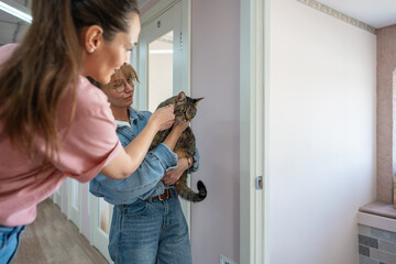 Cat owner hugging cat in pet hotel, ready to check in animal, as female staff introduces and let cat sniff hand. Boarding, pet transition, animal comfort, cat reception, staff introduction, handover