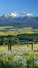 A scenic view of a snow-capped mountain range in the distance, with a field of wildflowers in the foreground.
