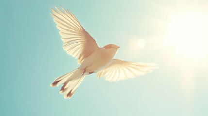 Obraz premium A bird soaring gracefully in the sunlight against a clear blue sky.