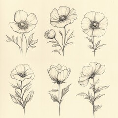 Six hand-drawn sketches of flowers in pencil on a white background.