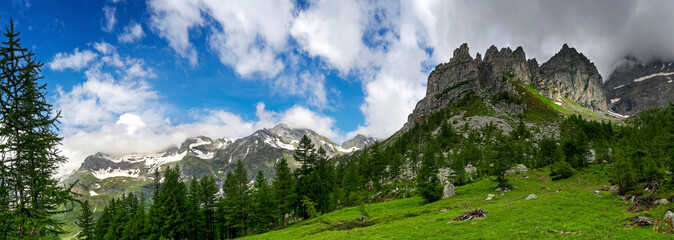 Fototapety na wymiar - Fototapeta24.pl