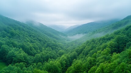 Fototapeta premium Breathtaking aerial view of lush green valleys in misty mountain landscape photography