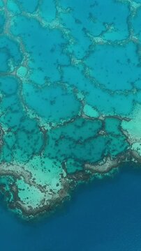 Coral reefs in Maupiti Island French Polynesia Pacific Ocean vertical video.