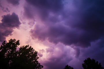 Obraz premium Dramatic sunset clouds illuminating the evening sky over trees