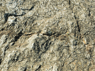 Obraz premium Close-up of a textured granite stone surface with vertical veins