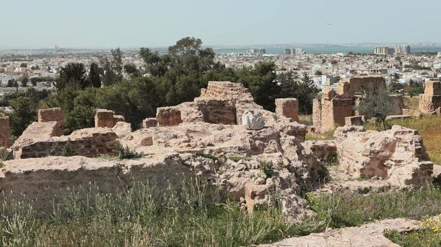 Ruins of the house of Hannibal at the excavations of Carthage. High quality 4k footage