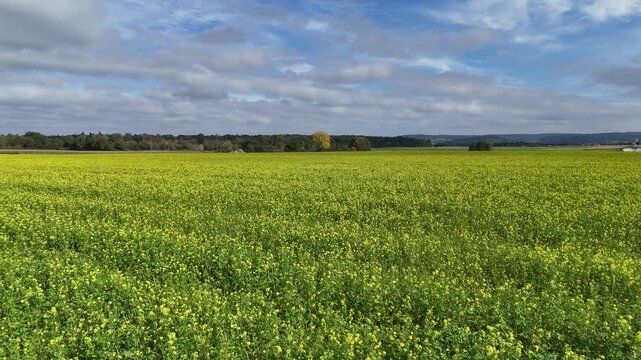 Flug ueber einen Acker
