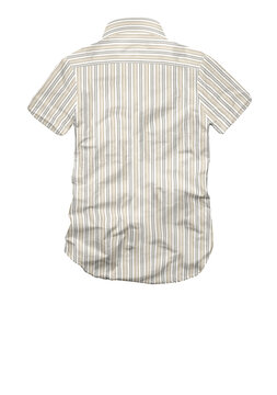 3D illustration summer season Dobby shirt