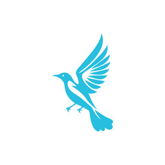 Fototapeta premium Bird Logo