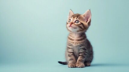 Obraz premium Surreal Portrait of a Playful Baby Kitten on a Colorful Background