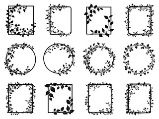 Fototapeta premium Silhouette ivy liana frame set. Round and rectangular shape. Spindly vine creeping plant. Nature foliage decorative design element. Black and white simple flat style. Isolated vector on white