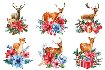 Watercolor Christmas deer, winter flowers, Spruce branches and pine cones for holiday cards, Invitation, congratulations