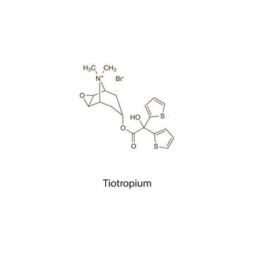 Tiotropium Bromide flat skeletal molecular structure Anticholinergic drug drug used in COPD, Asthma treatment. Vector illustration scientific diagram.