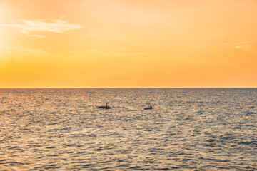 Obraz premium View of the seas at sunset. Swans sit on the sea water.