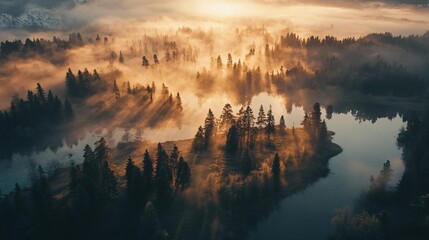 Golden sunrise illuminating misty forest and river landscape