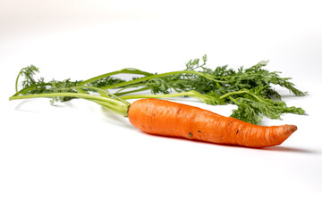 Carrot isolated on a white background 