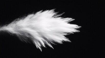 Obraz premium Fluffy white texture on a dark background