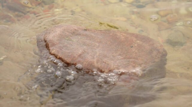 The surf plays with the stone, slow motion