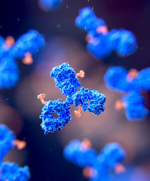 Antibody drug conjugate, illustration