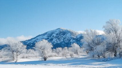 snow covered trees in the mountains