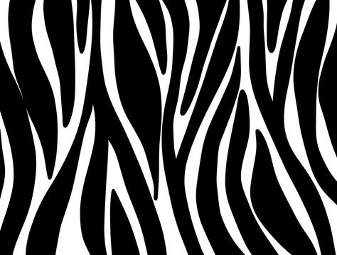 zebra pattern. images Animals background