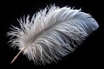 Obraz premium A levitating, white feather, delicate and graceful, against a dark background.