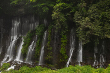 Shiraito waterfalls in spring in Japan